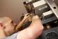 Two technicians install optical and routing equipment